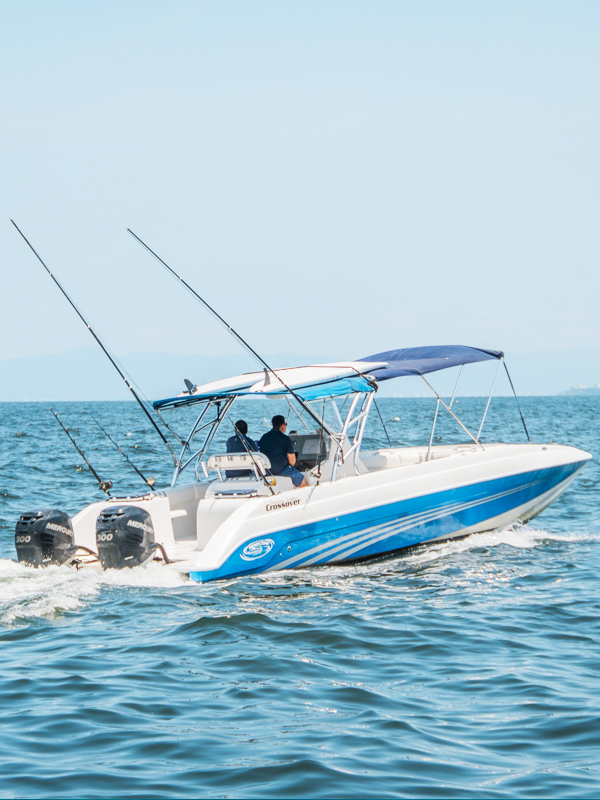 Spectra - Fast Coastal Cruiser